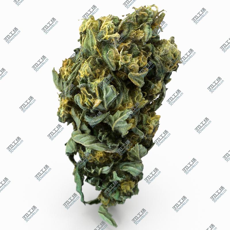images/goods_img/2021040233/Cannabis Bud 04 model/1.jpg